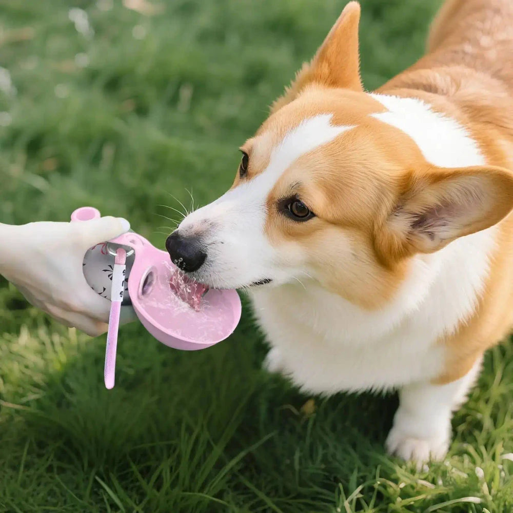 2-in-1 Dog Water Bottle